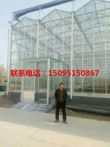 甘肃酒泉建造文洛式玻璃温室 玻璃温室的厂家