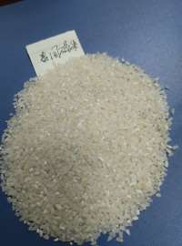 泰国碎米  进口碎米 优质米碎