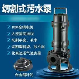 切割式排污泵  上海点泉泵业有限公司
