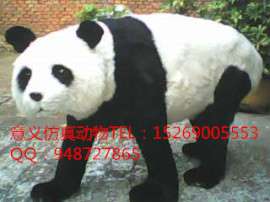 仿真熊猫 动物模型 仿真动物 厂家直销 承接各类动物皮张熟制